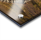 Stripes of Life Acrylic print