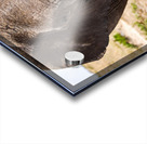 Timeless Strength Acrylic print