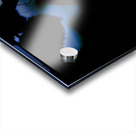 Silent Connection Acrylic print