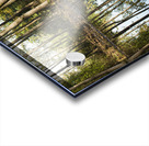 Mirror of the Woods Acrylic print