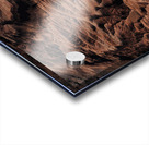 Sleeping Fire Impression Acrylique