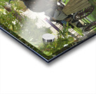 Timeless Companions Acrylic print