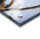 Silent Dominion Impression Acrylique