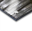 Whispers of the Fog Acrylic print