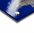 Winter Fortress Acrylic print