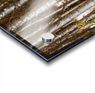 Song of Verticals Acrylic print