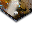 Nature’s Invitation Acrylic print