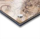 Ethereal Dialogue Acrylic print