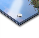 Flight of Freedom Acrylic print