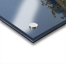 Wings Over the Wetland Acrylic print