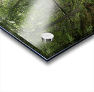 Mystic Forest Acrylic print