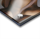 Whisper of Silk Acrylic print