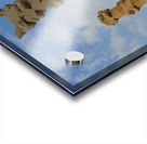 History                                Acrylic print