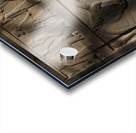 Persepolis Lion & Bull Acrylic print