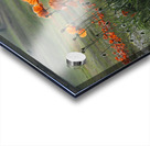 Dance of Poppies Acrylic print