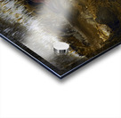 Heart of the Earth Acrylic print