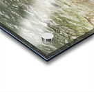 Edge of Serenity Acrylic print