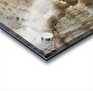 Stone Symphony Acrylic print