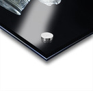 Guardian of Persia Acrylic print