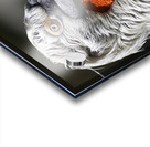 The Watchful One Acrylic print