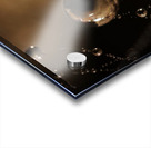 Gravity’s Whisper Acrylic print