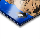 Roots of the Sky Acrylic print