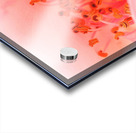 Heart of the Blossom  Acrylic print