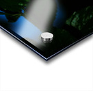 Whispers of Light  Impression Acrylique