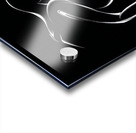 Silent Embrace Acrylic print