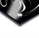 1 Flying 1 copy 020129 Acrylic print