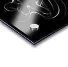 Whispers of Silence Acrylic print