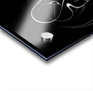 Silent Embrace Acrylic print