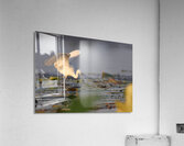 Dance of the Heron Acrylic Print