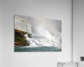 The Roar of Nature Acrylic Print