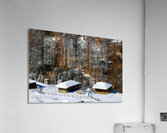 Autumn Behind the Snow Acrylic Print