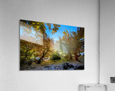 Autumn in Blue’s Embrace Acrylic Print