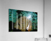 Living Stone Acrylic Print