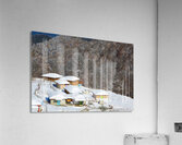 Winter Fortress2 Impression acrylique