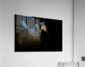 Silent Connection Acrylic Print