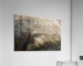 The Lonely Tree Acrylic Print