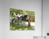 Timeless Companions Acrylic Print