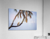 Silent Dominion Impression acrylique