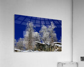 Winter Fortress Acrylic Print