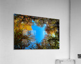 Window to the sky Impression acrylique