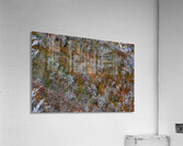 Poetry of Seasons Acrylic Print