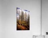 Autumn Silence  Acrylic Print