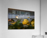 White Egret Acrylic Print