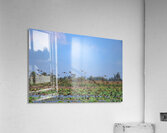 Flight of Freedom Acrylic Print