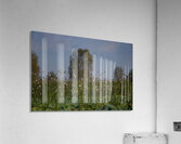 Whispers of the Marsh Acrylic Print