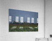 Wings Over the Wetland Acrylic Print